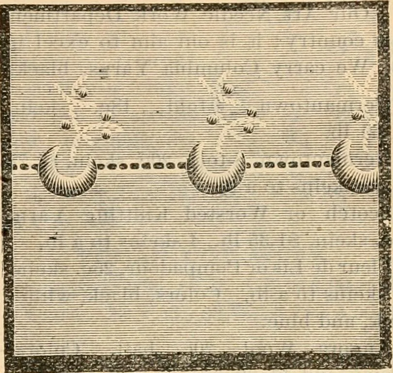 An illustration from Fall and winter 1895-6 price list for daily reference., 1895, leaf 135