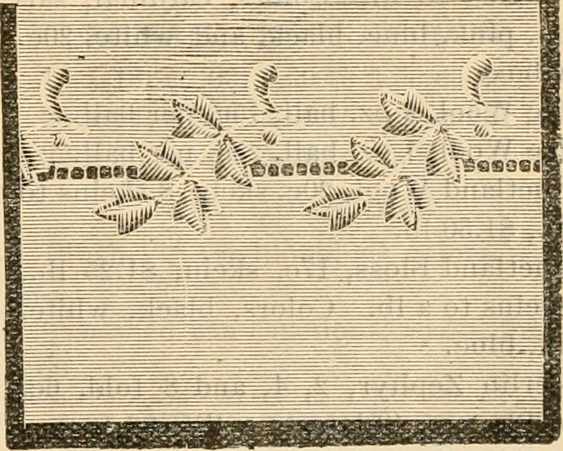An illustration from Fall and winter 1895-6 price list for daily reference., 1895, leaf 135