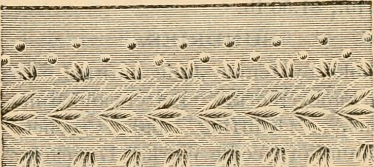An illustration from Fall and winter 1895-6 price list for daily reference., 1895, leaf 135