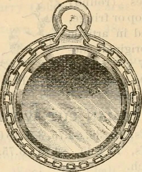 An illustration from Fall and winter 1895-6 price list for daily reference., 1895, leaf 138