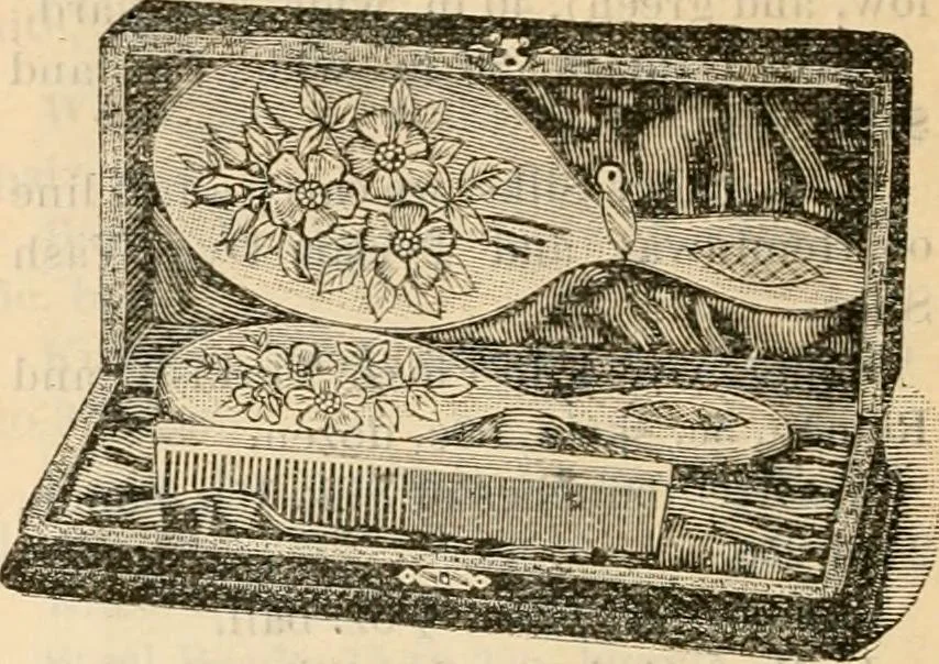 An illustration from Fall and winter 1895-6 price list for daily reference., 1895, leaf 138