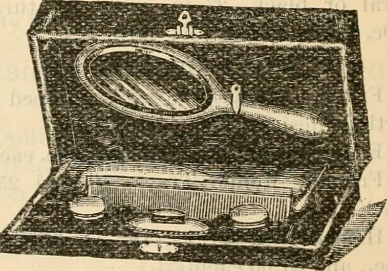 An illustration from Fall and winter 1895-6 price list for daily reference., 1895, leaf 138