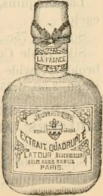 An illustration from Fall and winter 1895-6 price list for daily reference., 1895, leaf 138