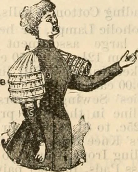 An illustration from Fall and winter 1895-6 price list for daily reference., 1895, leaf 148