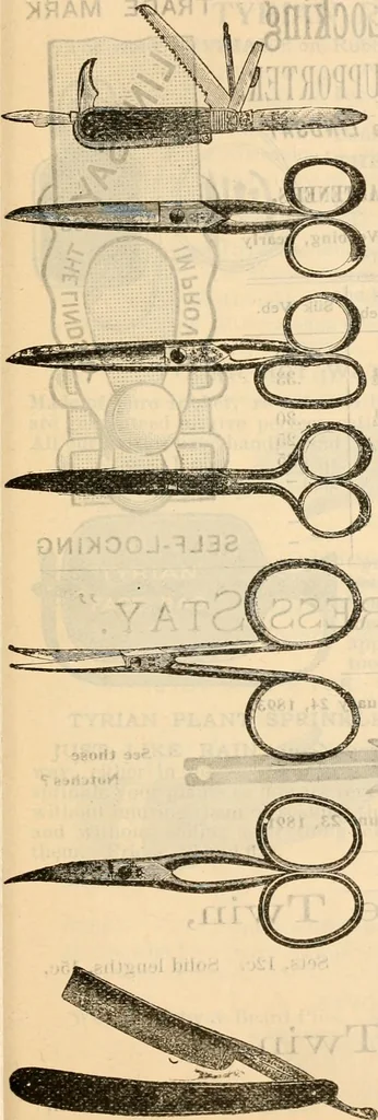 An illustration from Fall and winter 1895-6 price list for daily reference., 1895, leaf 149