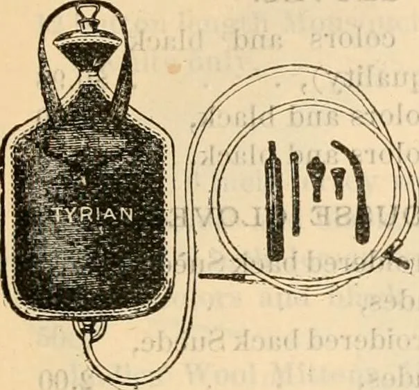 An illustration from Fall and winter 1895-6 price list for daily reference., 1895, leaf 151