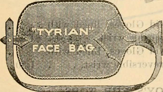 An illustration from Fall and winter 1895-6 price list for daily reference., 1895, leaf 151