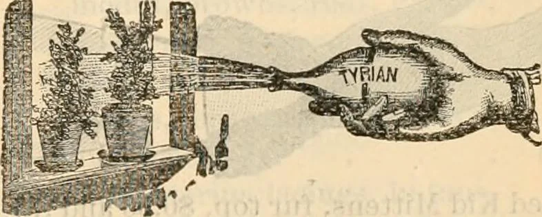 An illustration from Fall and winter 1895-6 price list for daily reference., 1895, leaf 151