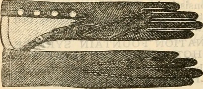 An illustration from Fall and winter 1895-6 price list for daily reference., 1895, leaf 152