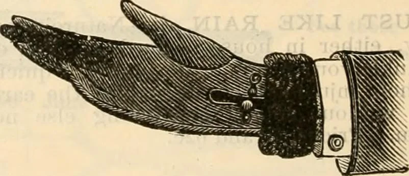 An illustration from Fall and winter 1895-6 price list for daily reference., 1895, leaf 152