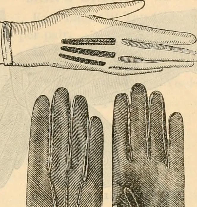 An illustration from Fall and winter 1895-6 price list for daily reference., 1895, leaf 155
