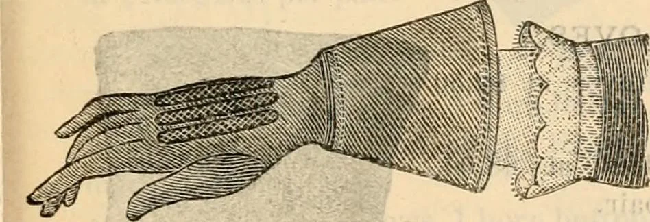 An illustration from Fall and winter 1895-6 price list for daily reference., 1895, leaf 155
