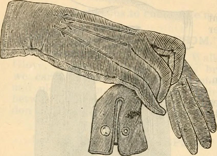 An illustration from Fall and winter 1895-6 price list for daily reference., 1895, leaf 156