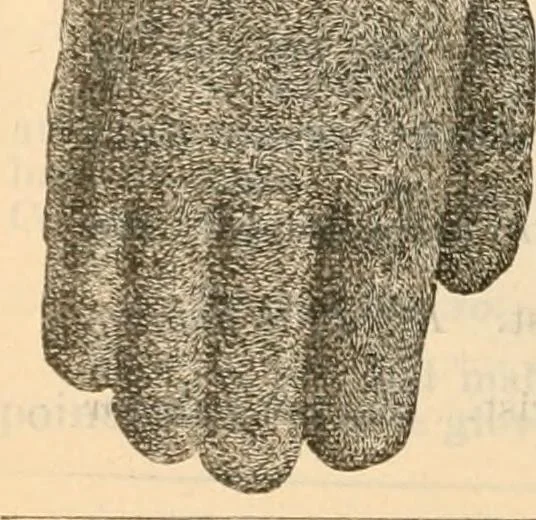 An illustration from Fall and winter 1895-6 price list for daily reference., 1895, leaf 156