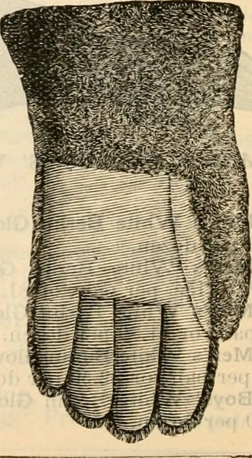 An illustration from Fall and winter 1895-6 price list for daily reference., 1895, leaf 156