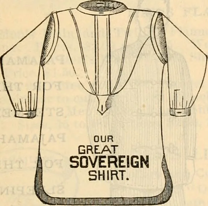 An illustration from Fall and winter 1895-6 price list for daily reference., 1895, leaf 159
