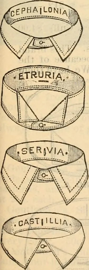 An illustration from Fall and winter 1895-6 price list for daily reference., 1895, leaf 161