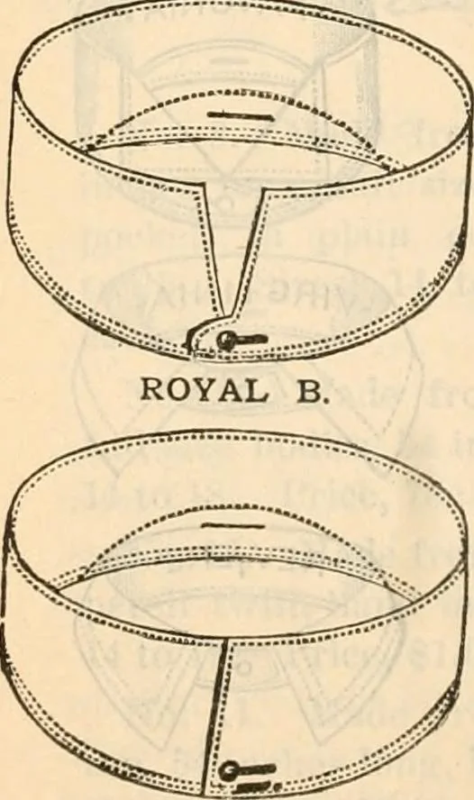 An illustration from Fall and winter 1895-6 price list for daily reference., 1895, leaf 162