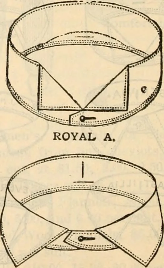An illustration from Fall and winter 1895-6 price list for daily reference., 1895, leaf 162