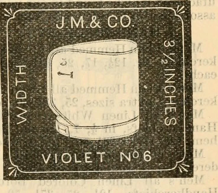 An illustration from Fall and winter 1895-6 price list for daily reference., 1895, leaf 163
