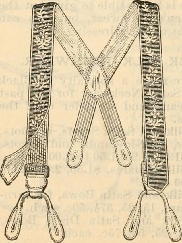 An illustration from Fall and winter 1895-6 price list for daily reference., 1895, leaf 164