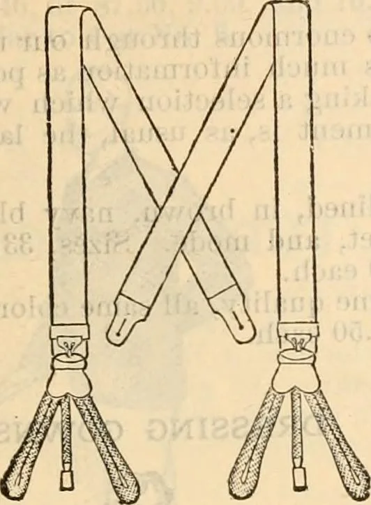 An illustration from Fall and winter 1895-6 price list for daily reference., 1895, leaf 165