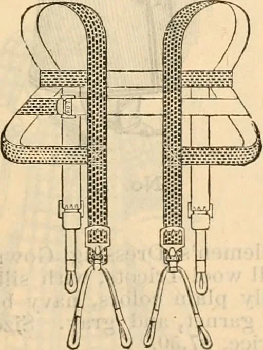 An illustration from Fall and winter 1895-6 price list for daily reference., 1895, leaf 165