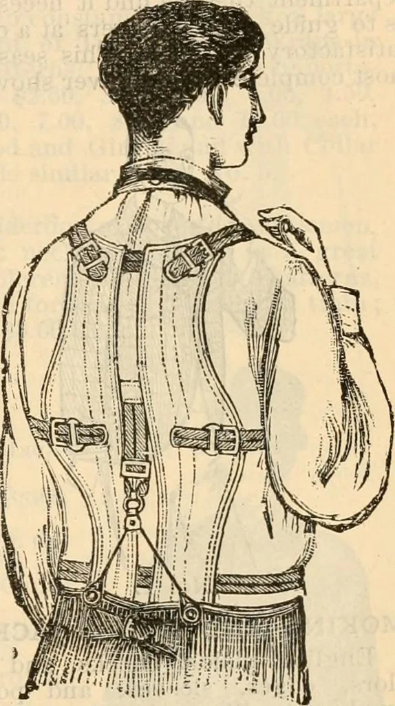 An illustration from Fall and winter 1895-6 price list for daily reference., 1895, leaf 165