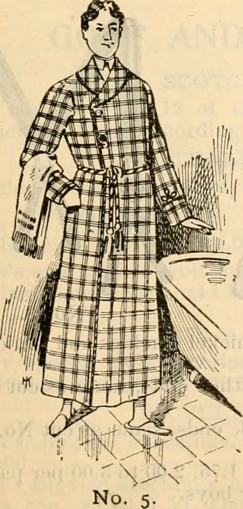 An illustration from Fall and winter 1895-6 price list for daily reference., 1895, leaf 167