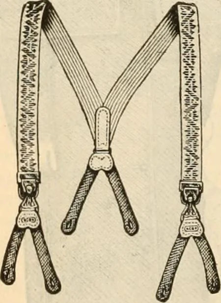 An illustration from Fall and winter 1895-6 price list for daily reference., 1895, leaf 168