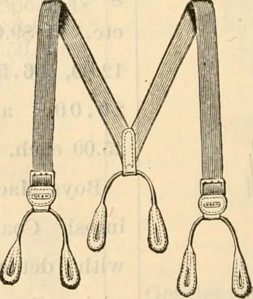An illustration from Fall and winter 1895-6 price list for daily reference., 1895, leaf 168
