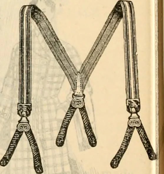 An illustration from Fall and winter 1895-6 price list for daily reference., 1895, leaf 168