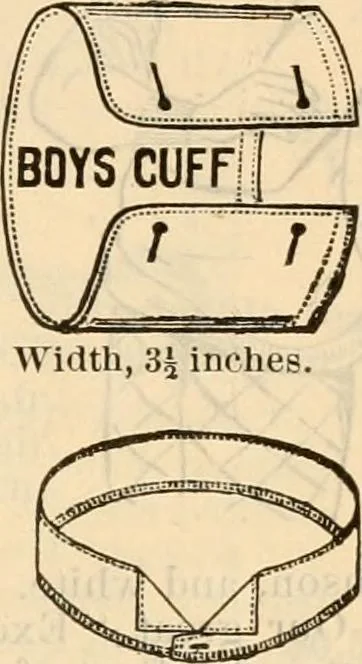 An illustration from Fall and winter 1895-6 price list for daily reference., 1895, leaf 169