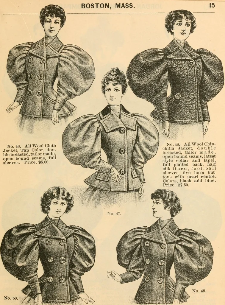 An illustration from Fall and winter 1895-6 price list for daily reference., 1895, leaf 17