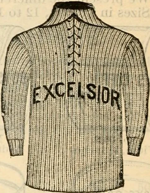 An illustration from Fall and winter 1895-6 price list for daily reference., 1895, leaf 170