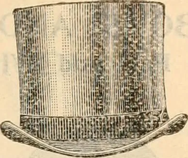 An illustration from Fall and winter 1895-6 price list for daily reference., 1895, leaf 179