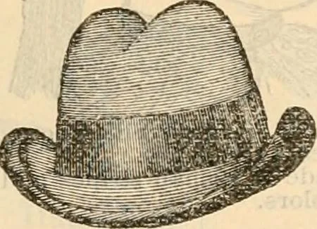 An illustration from Fall and winter 1895-6 price list for daily reference., 1895, leaf 179