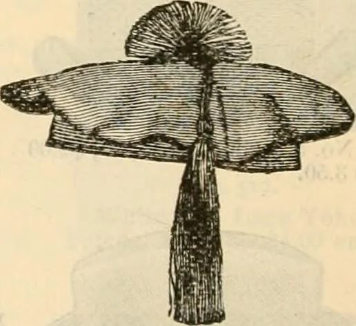 An illustration from Fall and winter 1895-6 price list for daily reference., 1895, leaf 180