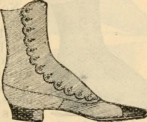 An illustration from Fall and winter 1895-6 price list for daily reference., 1895, leaf 181