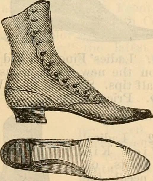 An illustration from Fall and winter 1895-6 price list for daily reference., 1895, leaf 181