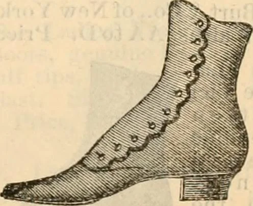 An illustration from Fall and winter 1895-6 price list for daily reference., 1895, leaf 181