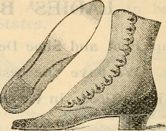 An illustration from Fall and winter 1895-6 price list for daily reference., 1895, leaf 182