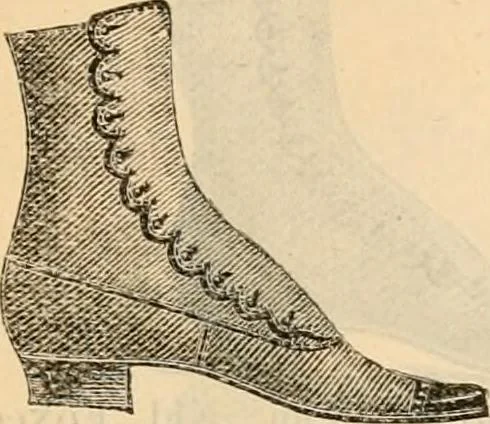 An illustration from Fall and winter 1895-6 price list for daily reference., 1895, leaf 183