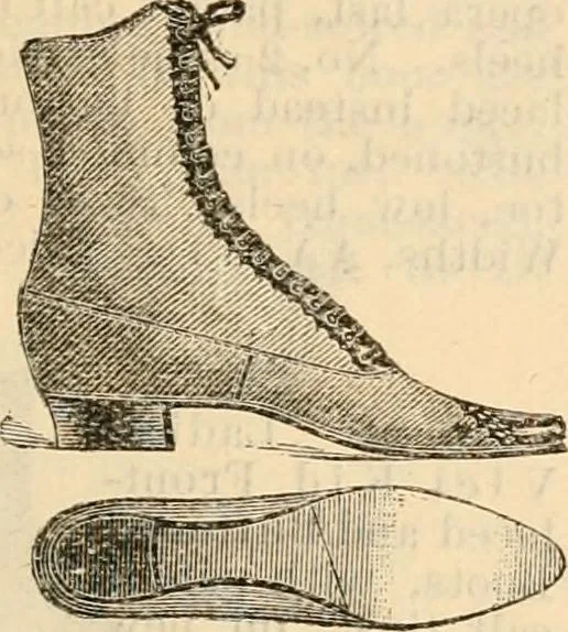 An illustration from Fall and winter 1895-6 price list for daily reference., 1895, leaf 183