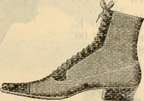 An illustration from Fall and winter 1895-6 price list for daily reference., 1895, leaf 183