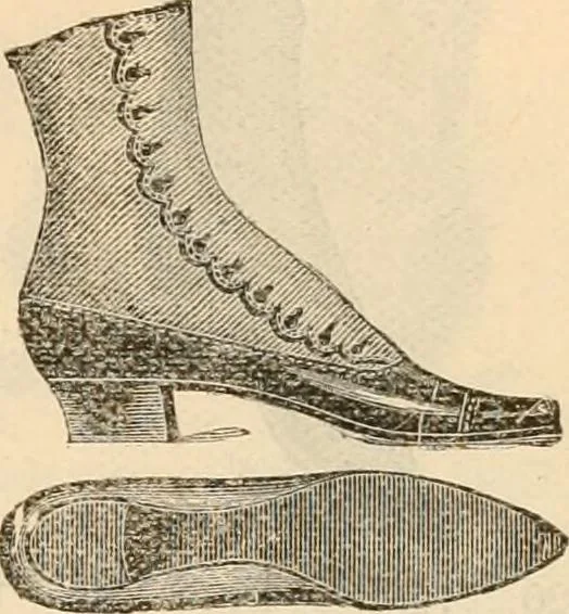 An illustration from Fall and winter 1895-6 price list for daily reference., 1895, leaf 183