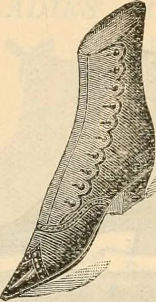 An illustration from Fall and winter 1895-6 price list for daily reference., 1895, leaf 184