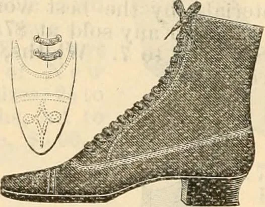 An illustration from Fall and winter 1895-6 price list for daily reference., 1895, leaf 184