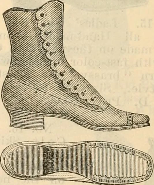 An illustration from Fall and winter 1895-6 price list for daily reference., 1895, leaf 184