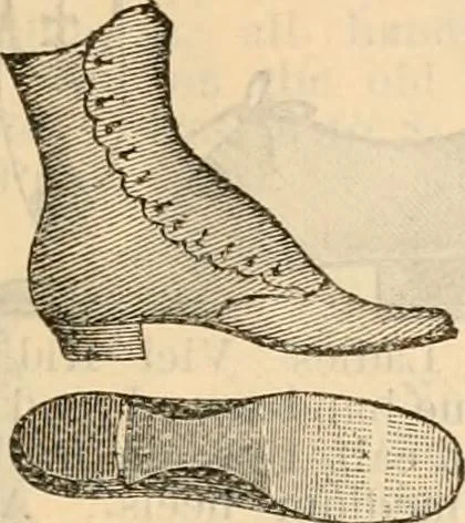 An illustration from Fall and winter 1895-6 price list for daily reference., 1895, leaf 185